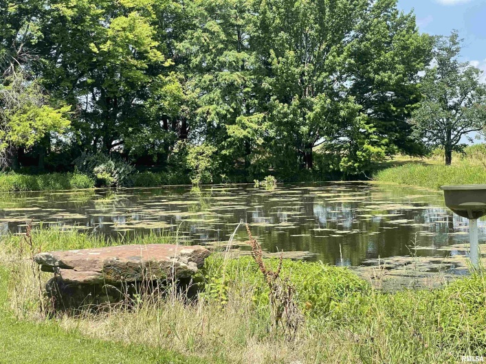 9595 Old Highway 51 N, Cobden, Illinois 62920, 2 Bedrooms Bedrooms, 0 ,2 BathroomsBathrooms,Residential,For Sale,Old Highway 51 N,0,RMAEB458558