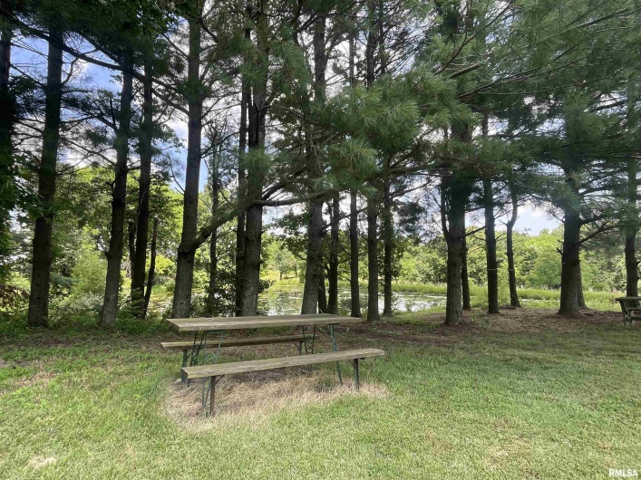 9595 Old Highway 51 N, Cobden, Illinois 62920, 2 Bedrooms Bedrooms, 0 ,2 BathroomsBathrooms,Residential,For Sale,Old Highway 51 N,0,RMAEB458558
