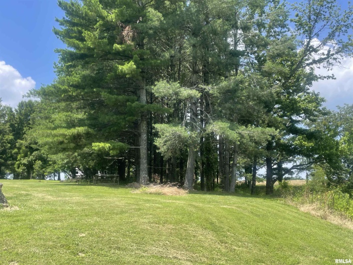 9595 Old Highway 51 N, Cobden, Illinois 62920, 2 Bedrooms Bedrooms, 0 ,2 BathroomsBathrooms,Residential,For Sale,Old Highway 51 N,0,RMAEB458558