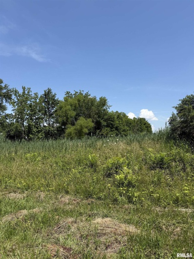 0000 FLEMING Road, Carterville, Illinois 62918, 0 , 0 ,0,Land,For Sale,FLEMING,0,RMAQC4264788