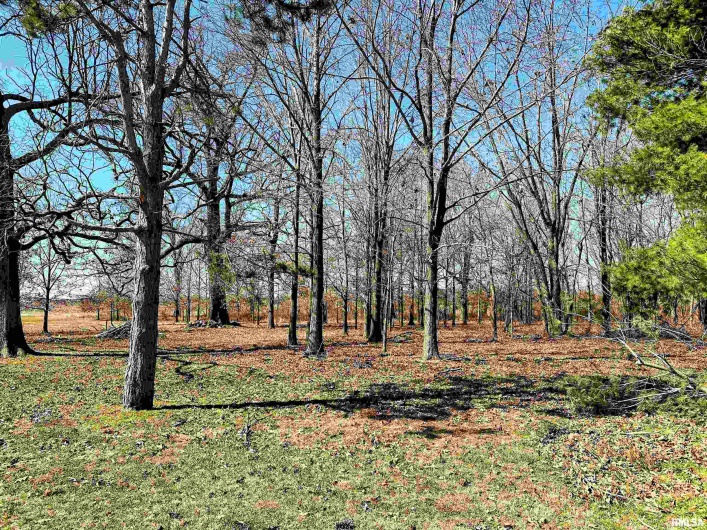 470 Lankin Road, Galatia, Illinois 62935, 3 Bedrooms Bedrooms, 0 ,1 BathroomBathrooms,Residential,For Sale,Lankin,0,RMAEB457104
