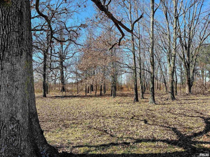470 Lankin Road, Galatia, Illinois 62935, 3 Bedrooms Bedrooms, 0 ,1 BathroomBathrooms,Residential,For Sale,Lankin,0,RMAEB457104