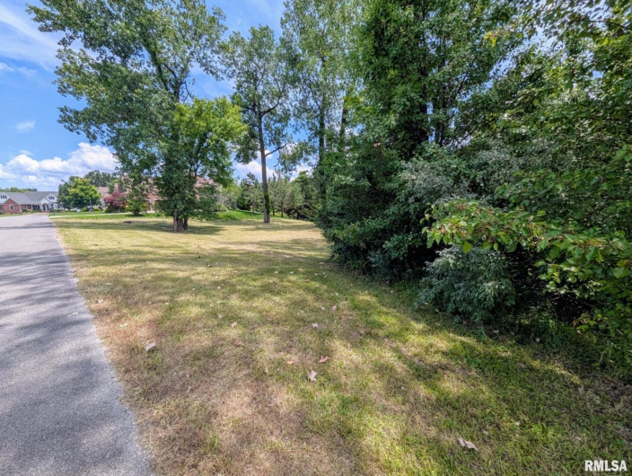 69 David Livingstone Drive, Carterville, Illinois 62918, 0 , 0 ,0,Land,For Sale,David Livingstone,0,RMAEB458623