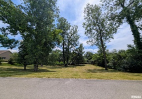 69 David Livingstone Drive, Carterville, Illinois 62918, 0 , 0 ,0,Land,For Sale,David Livingstone,0,RMAEB458623