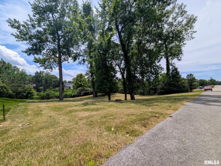 69 David Livingstone Drive, Carterville, Illinois 62918, 0 , 0 ,0,Land,For Sale,David Livingstone,0,RMAEB458623
