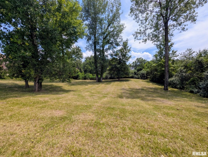 69 David Livingstone Drive, Carterville, Illinois 62918, 0 , 0 ,0,Land,For Sale,David Livingstone,0,RMAEB458623