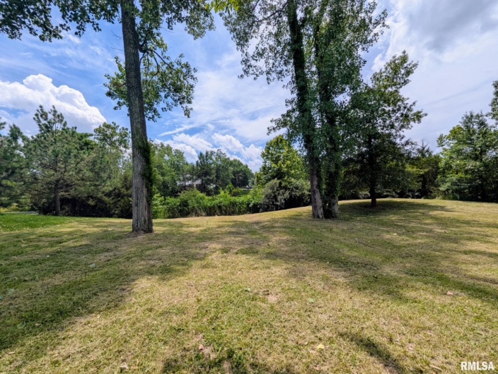 69 David Livingstone Drive, Carterville, Illinois 62918, 0 , 0 ,0,Land,For Sale,David Livingstone,0,RMAEB458623