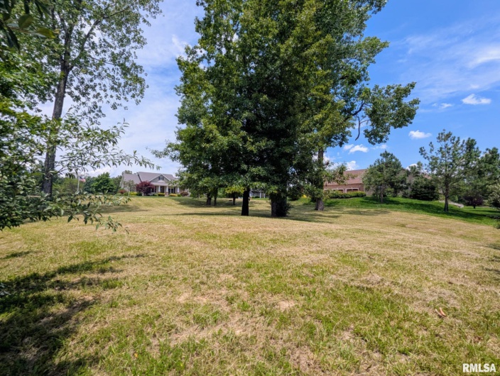 69 David Livingstone Drive, Carterville, Illinois 62918, 0 , 0 ,0,Land,For Sale,David Livingstone,0,RMAEB458623