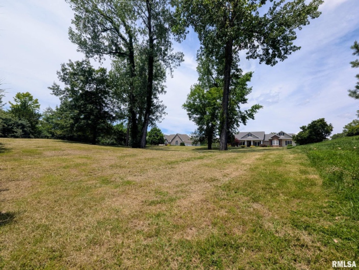 69 David Livingstone Drive, Carterville, Illinois 62918, 0 , 0 ,0,Land,For Sale,David Livingstone,0,RMAEB458623