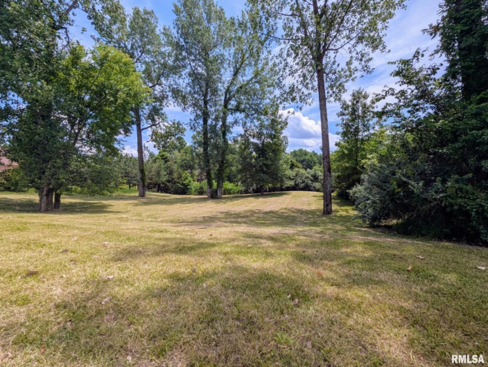 69 David Livingstone Drive, Carterville, Illinois 62918, 0 , 0 ,0,Land,For Sale,David Livingstone,0,RMAEB458623
