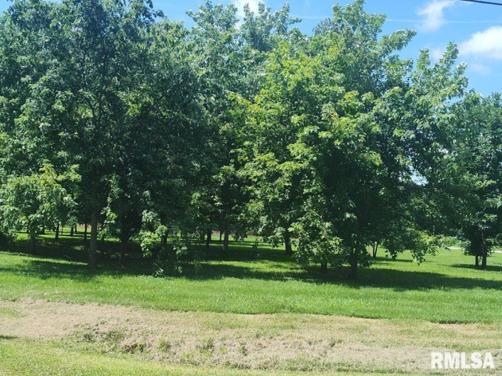 319 HIGH Street, Mound City, Illinois 62963, 0 , 0 ,0,Commercial Sale,For Sale,HIGH,0,RMAEB458626