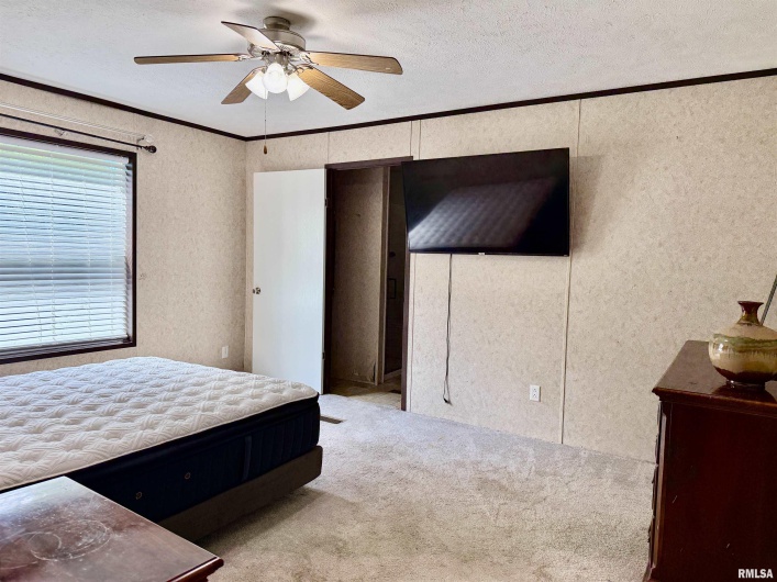 113 21ST Street, Metropolis, Illinois 62960, 3 Bedrooms Bedrooms, 0 ,2 BathroomsBathrooms,Residential,For Sale,21ST,0,RMAEB458291