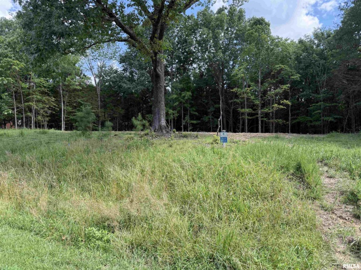 Lot 305 Pecan Point Lane, Goreville, Illinois 62939, 0 , 0 ,0,Land,For Sale,Pecan Point,0,RMAEB458657