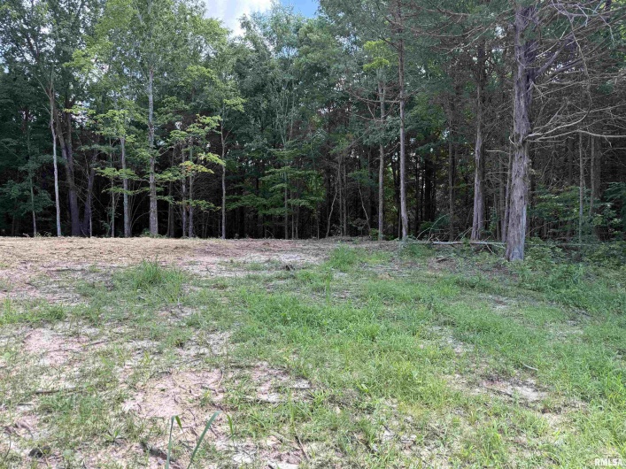 Lot 305 Pecan Point Lane, Goreville, Illinois 62939, 0 , 0 ,0,Land,For Sale,Pecan Point,0,RMAEB458657