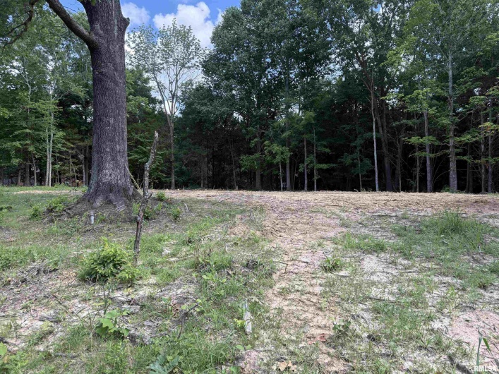 Lot 305 Pecan Point Lane, Goreville, Illinois 62939, 0 , 0 ,0,Land,For Sale,Pecan Point,0,RMAEB458657