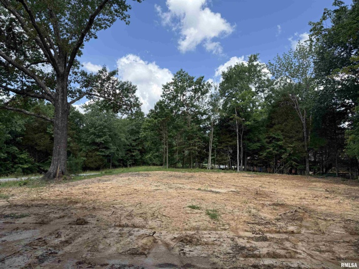 Lot 305 Pecan Point Lane, Goreville, Illinois 62939, 0 , 0 ,0,Land,For Sale,Pecan Point,0,RMAEB458657