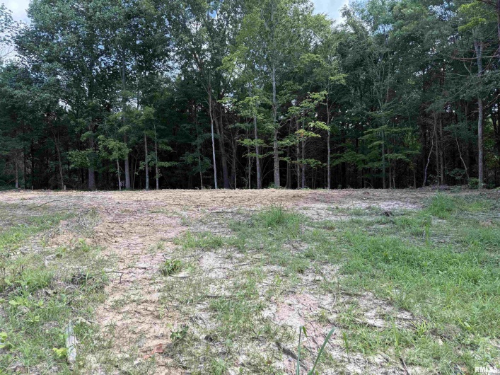 Lot 305 Pecan Point Lane, Goreville, Illinois 62939, 0 , 0 ,0,Land,For Sale,Pecan Point,0,RMAEB458657