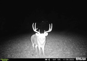 000 Grand Pierre Drive, Golconda, Illinois 62938, 0 , 0 ,0,Land,For Sale,Grand Pierre,0,RMACA1037588