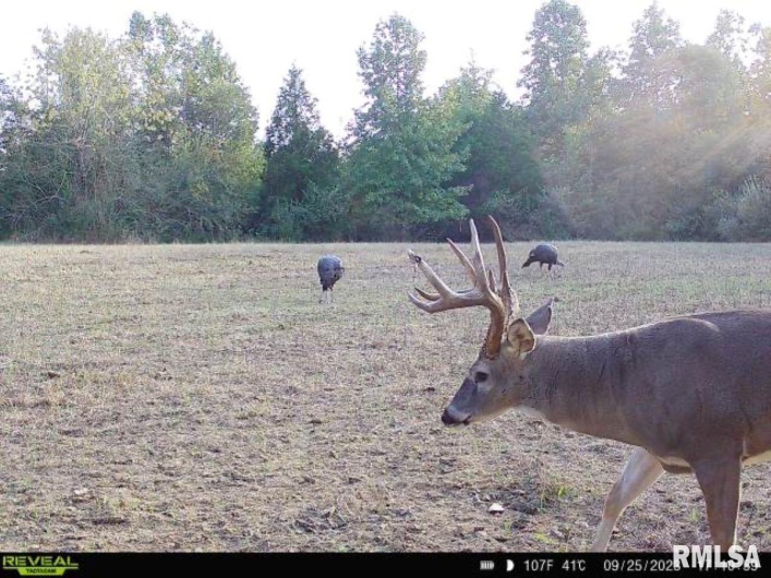 000 Grand Pierre Drive, Golconda, Illinois 62938, 0 , 0 ,0,Land,For Sale,Grand Pierre,0,RMACA1037588