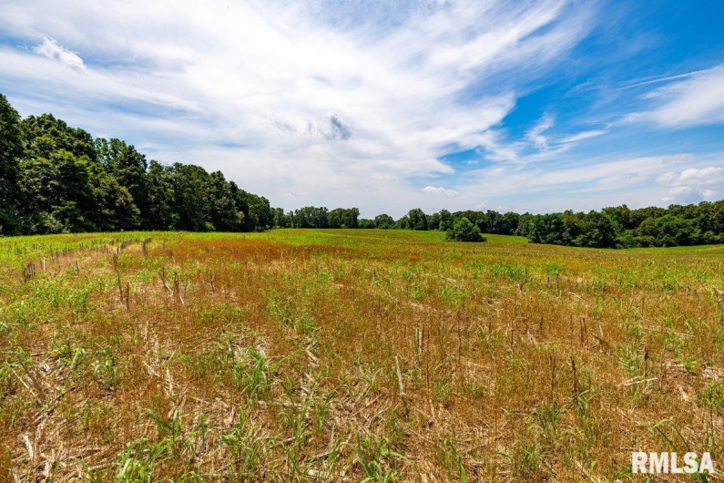 000 Grand Pierre Drive, Golconda, Illinois 62938, 0 , 0 ,0,Land,For Sale,Grand Pierre,0,RMACA1037588