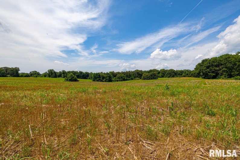 000 Grand Pierre Drive, Golconda, Illinois 62938, 0 , 0 ,0,Land,For Sale,Grand Pierre,0,RMACA1037588