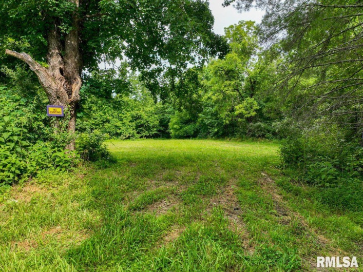 000 Grand Pierre Drive, Golconda, Illinois 62938, 0 , 0 ,0,Land,For Sale,Grand Pierre,0,RMACA1037588