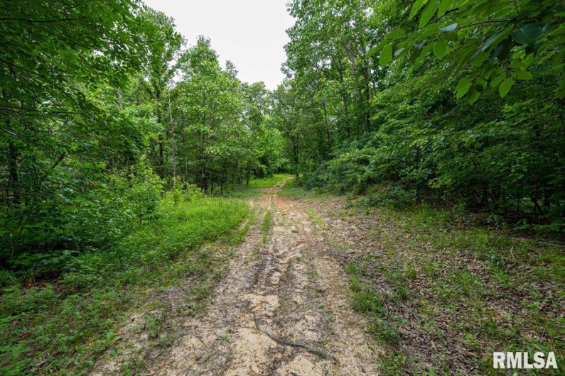000 Grand Pierre Drive, Golconda, Illinois 62938, 0 , 0 ,0,Land,For Sale,Grand Pierre,0,RMACA1037588