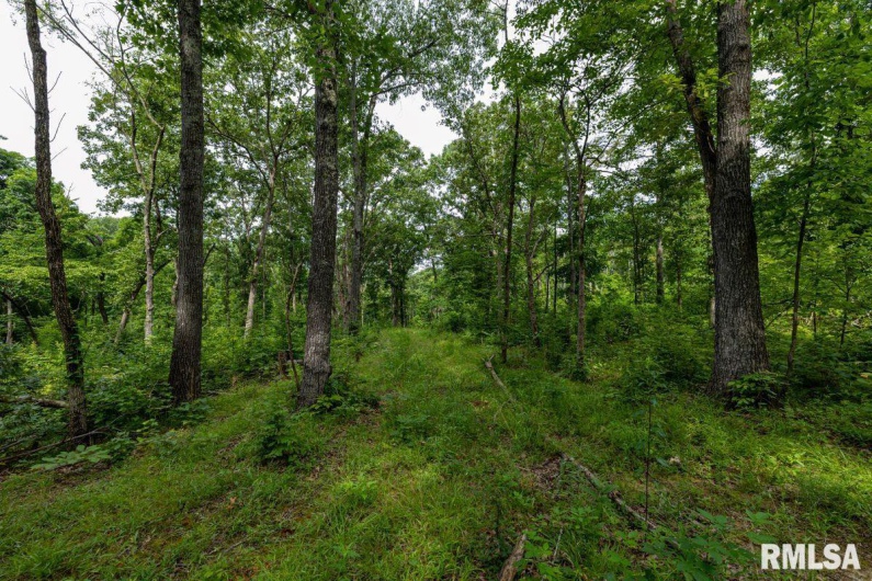 000 Grand Pierre Drive, Golconda, Illinois 62938, 0 , 0 ,0,Land,For Sale,Grand Pierre,0,RMACA1037588