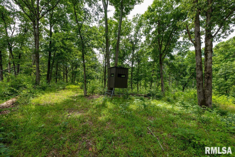 000 Grand Pierre Drive, Golconda, Illinois 62938, 0 , 0 ,0,Land,For Sale,Grand Pierre,0,RMACA1037588