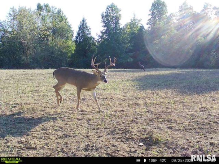 000 Grand Pierre Drive, Golconda, Illinois 62938, 0 , 0 ,0,Land,For Sale,Grand Pierre,0,RMACA1037588