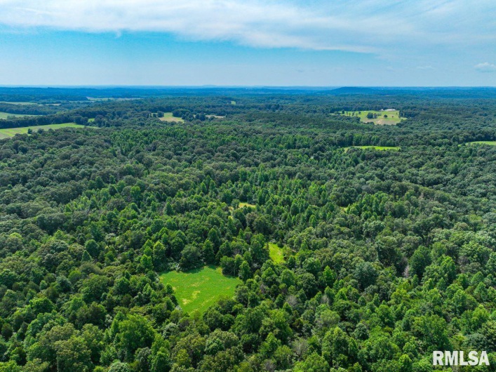 000 Grand Pierre Drive, Golconda, Illinois 62938, 0 , 0 ,0,Land,For Sale,Grand Pierre,0,RMACA1037588