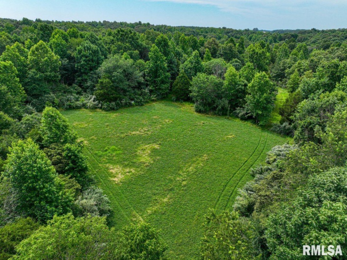 000 Grand Pierre Drive, Golconda, Illinois 62938, 0 , 0 ,0,Land,For Sale,Grand Pierre,0,RMACA1037588