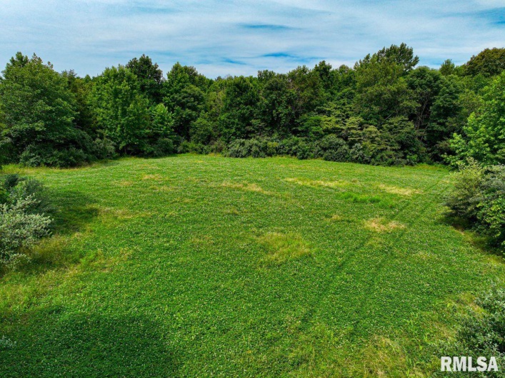 000 Grand Pierre Drive, Golconda, Illinois 62938, 0 , 0 ,0,Land,For Sale,Grand Pierre,0,RMACA1037588