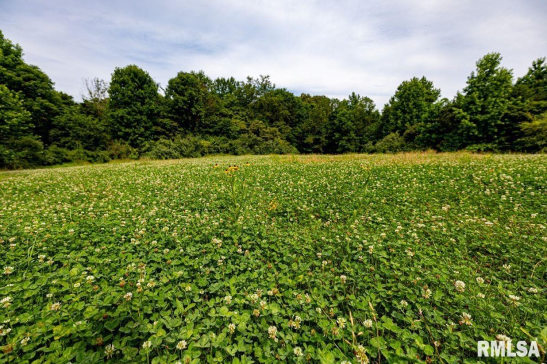 000 Grand Pierre Drive, Golconda, Illinois 62938, 0 , 0 ,0,Land,For Sale,Grand Pierre,0,RMACA1037588
