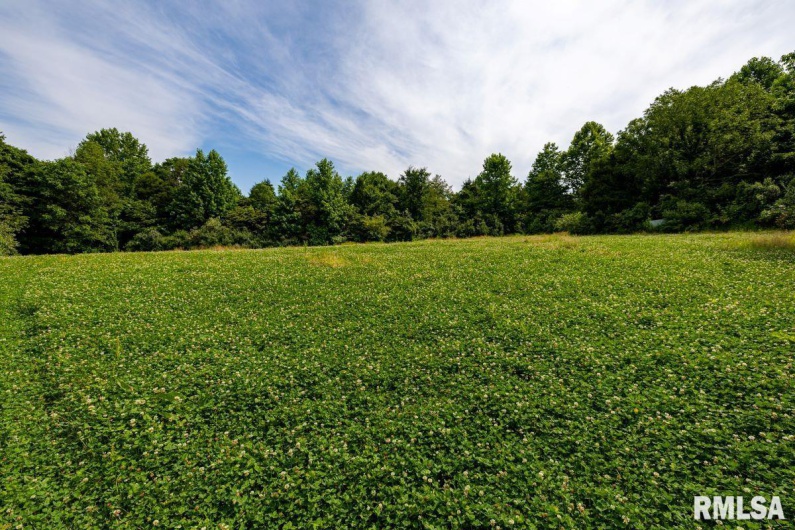 000 Grand Pierre Drive, Golconda, Illinois 62938, 0 , 0 ,0,Land,For Sale,Grand Pierre,0,RMACA1037588