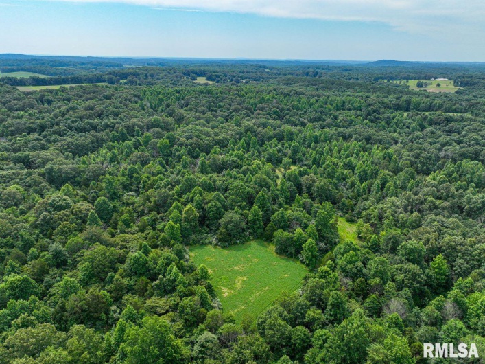 000 Grand Pierre Drive, Golconda, Illinois 62938, 0 , 0 ,0,Land,For Sale,Grand Pierre,0,RMACA1037588