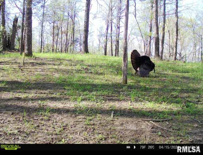 000 Grand Pierre Drive, Golconda, Illinois 62938, 0 , 0 ,0,Land,For Sale,Grand Pierre,0,RMACA1037588