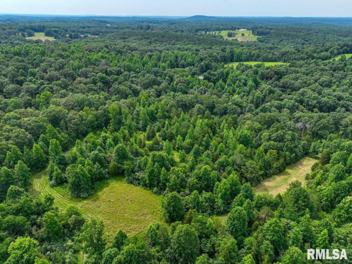 000 Grand Pierre Drive, Golconda, Illinois 62938, 0 , 0 ,0,Land,For Sale,Grand Pierre,0,RMACA1037588