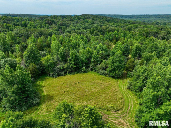 000 Grand Pierre Drive, Golconda, Illinois 62938, 0 , 0 ,0,Land,For Sale,Grand Pierre,0,RMACA1037588