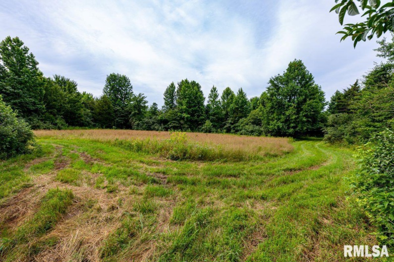 000 Grand Pierre Drive, Golconda, Illinois 62938, 0 , 0 ,0,Land,For Sale,Grand Pierre,0,RMACA1037588