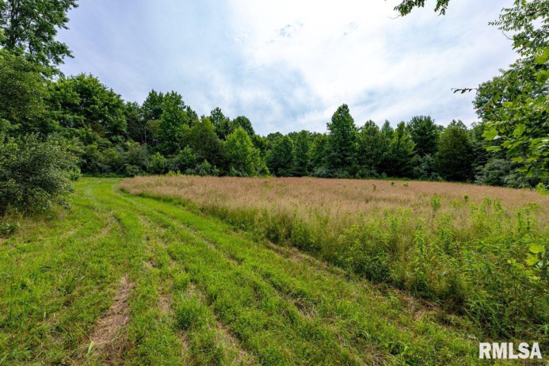 000 Grand Pierre Drive, Golconda, Illinois 62938, 0 , 0 ,0,Land,For Sale,Grand Pierre,0,RMACA1037588