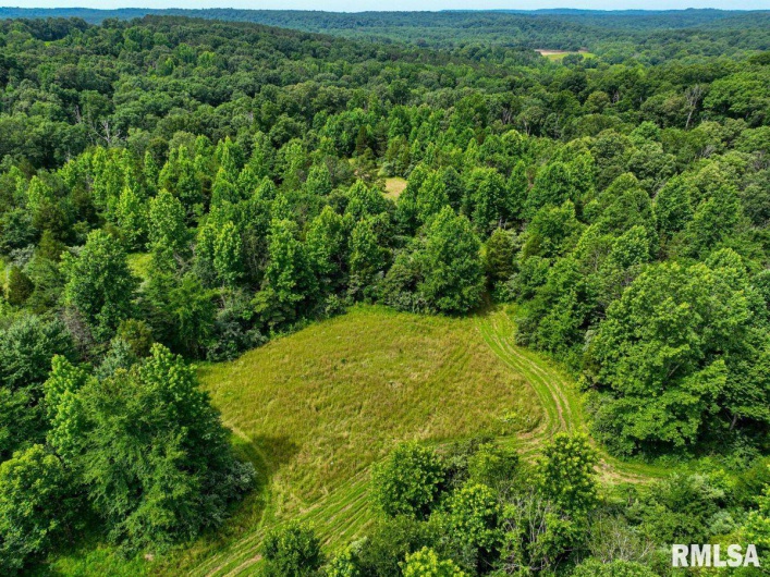 000 Grand Pierre Drive, Golconda, Illinois 62938, 0 , 0 ,0,Land,For Sale,Grand Pierre,0,RMACA1037588