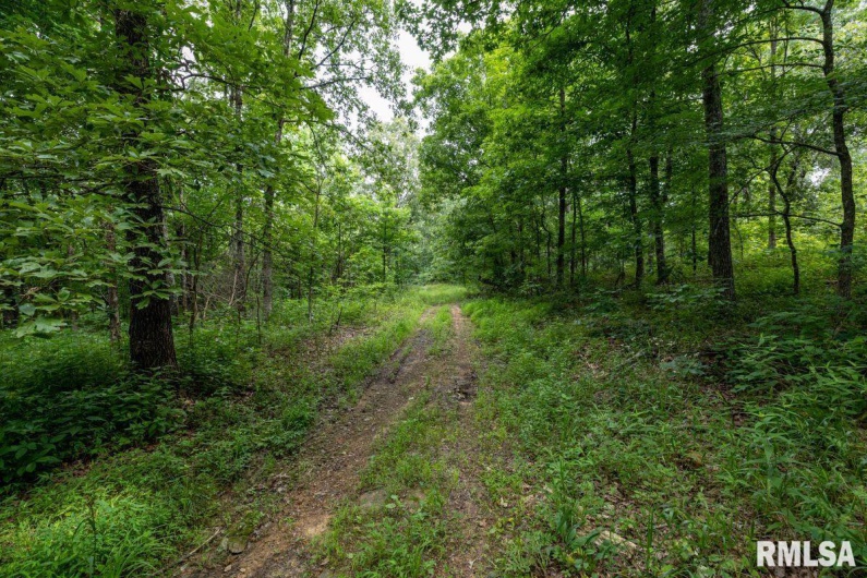000 Grand Pierre Drive, Golconda, Illinois 62938, 0 , 0 ,0,Land,For Sale,Grand Pierre,0,RMACA1037588