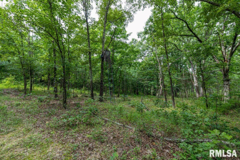 000 Grand Pierre Drive, Golconda, Illinois 62938, 0 , 0 ,0,Land,For Sale,Grand Pierre,0,RMACA1037588