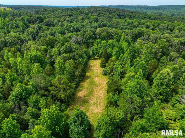 000 Grand Pierre Drive, Golconda, Illinois 62938, 0 , 0 ,0,Land,For Sale,Grand Pierre,0,RMACA1037588