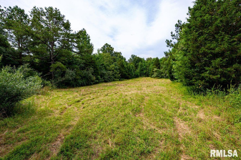 000 Grand Pierre Drive, Golconda, Illinois 62938, 0 , 0 ,0,Land,For Sale,Grand Pierre,0,RMACA1037588