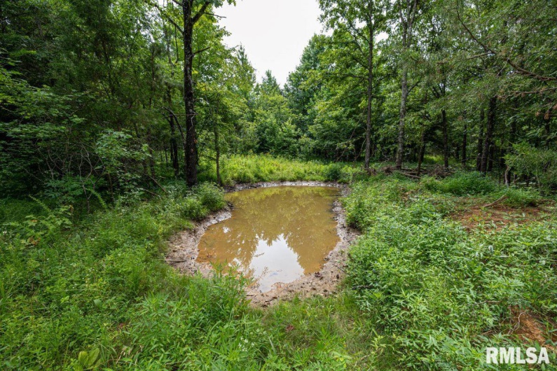 000 Grand Pierre Drive, Golconda, Illinois 62938, 0 , 0 ,0,Land,For Sale,Grand Pierre,0,RMACA1037588