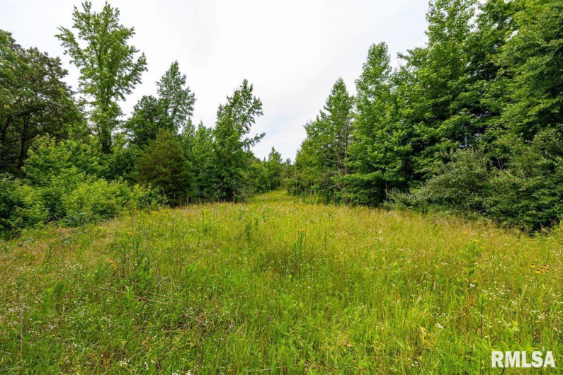 000 Grand Pierre Drive, Golconda, Illinois 62938, 0 , 0 ,0,Land,For Sale,Grand Pierre,0,RMACA1037588