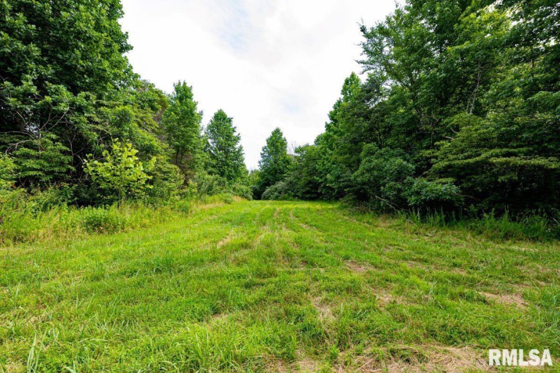 000 Grand Pierre Drive, Golconda, Illinois 62938, 0 , 0 ,0,Land,For Sale,Grand Pierre,0,RMACA1037588
