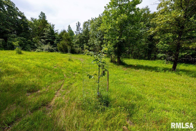 000 Grand Pierre Drive, Golconda, Illinois 62938, 0 , 0 ,0,Land,For Sale,Grand Pierre,0,RMACA1037588